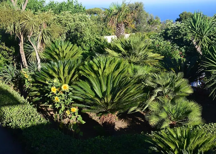 Bed & Breakfast Oasi Di Damecuta