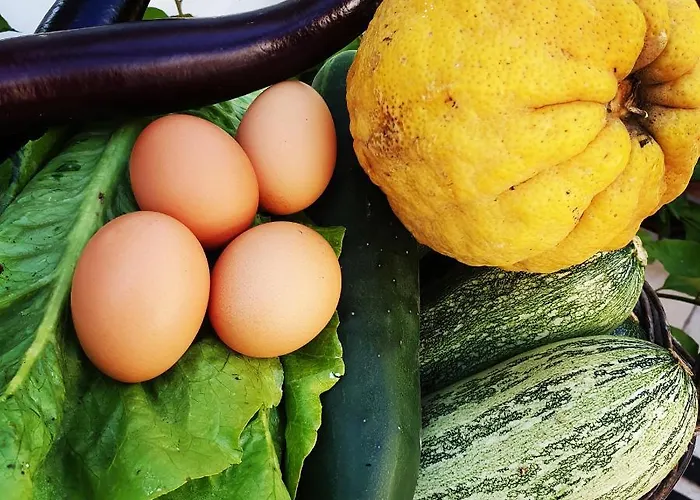 Bed & Breakfast Oasi Di Damecuta 3*