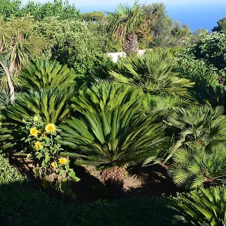 Bed & Breakfast Oasi Di Damecuta